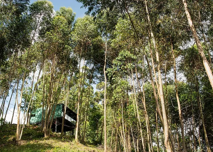 Casa Container Figo Em Meio A Natureza Na Serra Gaucha