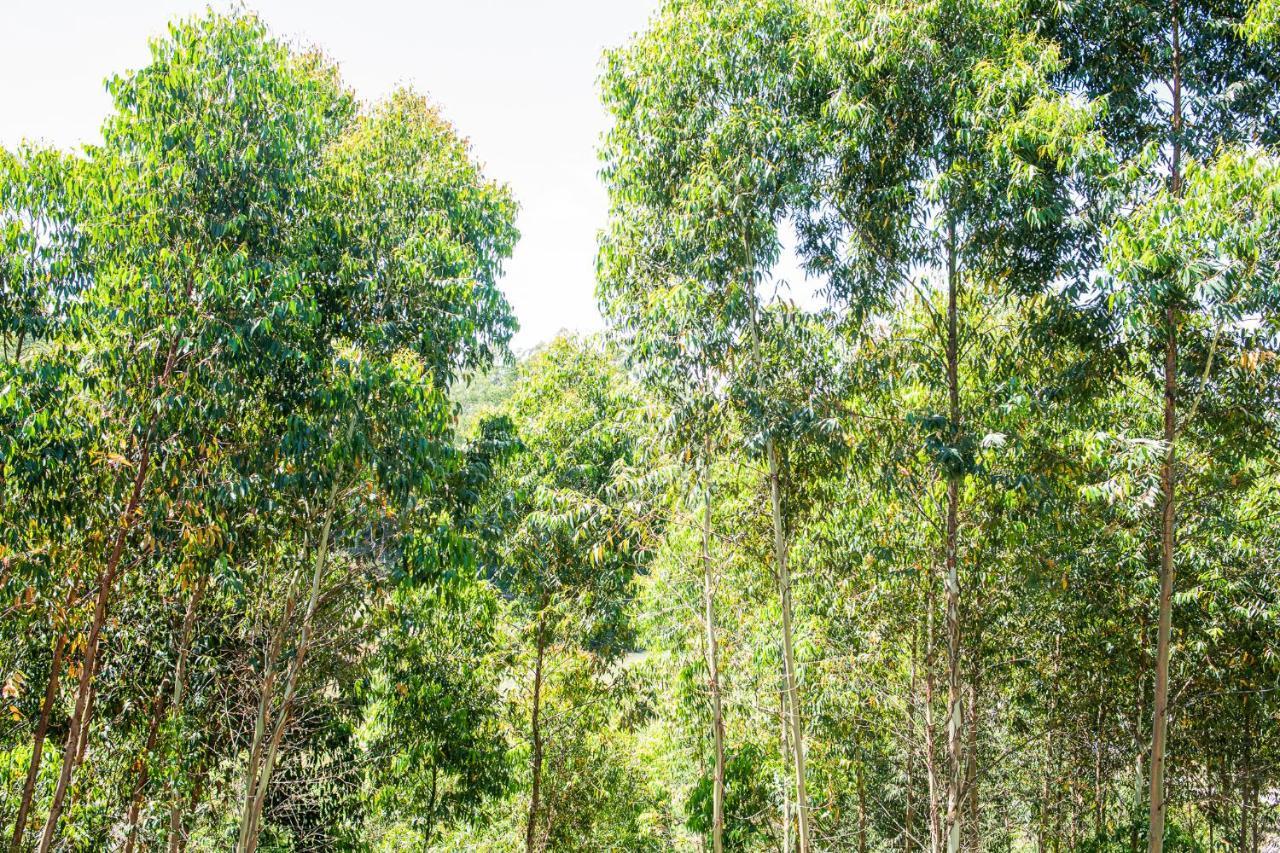 Casa Container Figo Em Meio A Natureza Na Serra Gaucha *